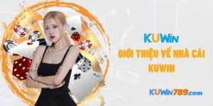 Tổng quan về nhà cái Kuwin789.com