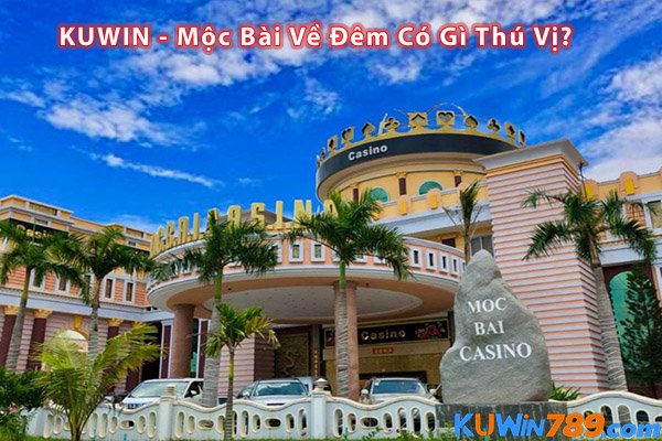 KUWIN - Mộc Bài Về Đêm Có Gì Thú Vị?